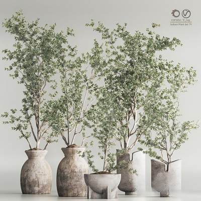 绿植盆栽组合-2